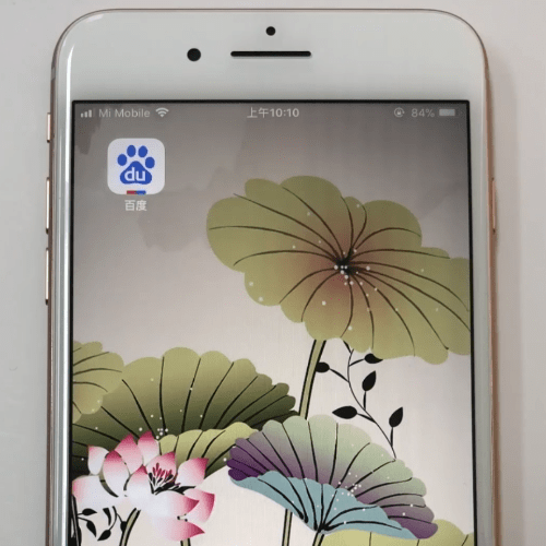 分享在手机百度APP中将夜间模式取消的方法。