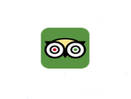 小编教你到到无线APP查询特价航班的简单操作。