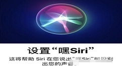 我来分享苹果12Siri没有声音怎么回事 苹果12Siri没有声音解决方法。