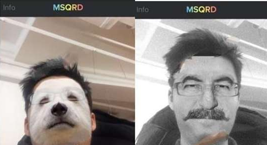 我来教你msqrd的具体使用流程介绍。