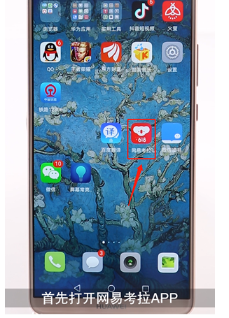小编教你网易考拉中加入购物车的详细图文讲解。