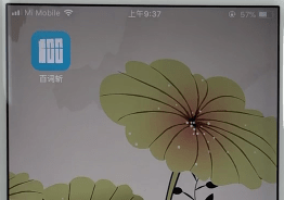 教你在百词斩APP中进行开始背单词的具体方法。