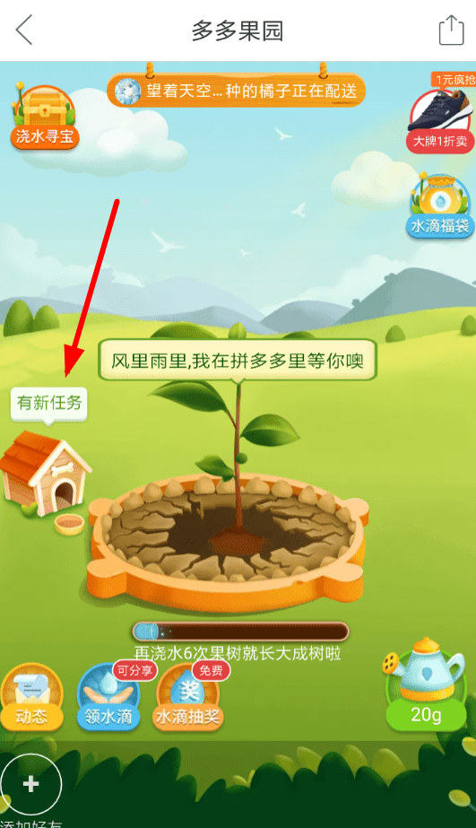 我来分享在拼多多果园里养狗的简单教程分享。