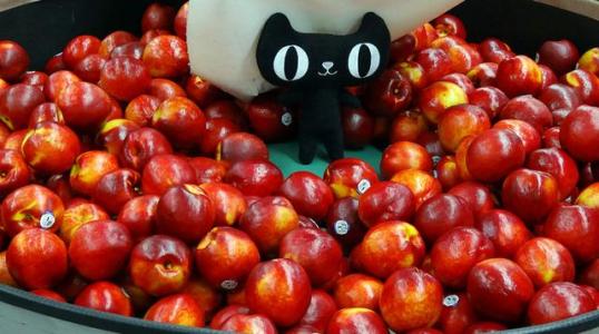 我来分享开通天猫农场的详细操作流程。