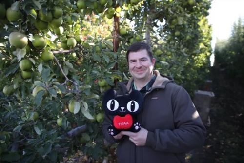 教你在天猫农场中偷取阳光的详细讲解。