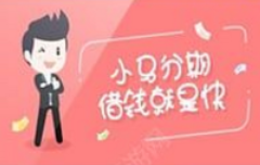 小编教你在小马分期白领版APP里进行借款的详细操作。