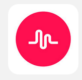 我来分享muse倒拍功能使用讲解。