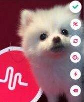 我来教你muse APP设置隐藏地理位置的操作流程。