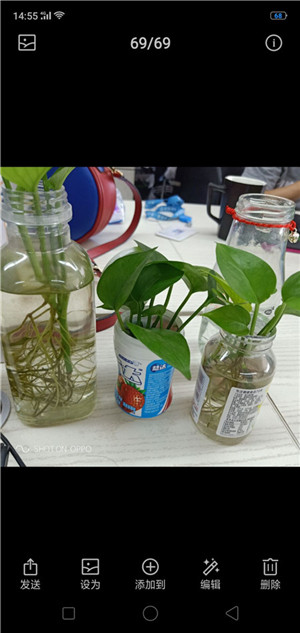 oppor17拍照加水印的方法讲解截图