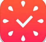 分享疯狂番茄APP的具体使用讲解。