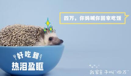 小编教你通过猫饼剪辑视频的详细操作过程。