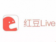 分享在红豆Live里进行提现的基础操作。