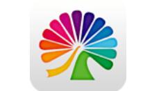 小编分享大麦APP修改地址的操作流程。