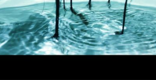 小编分享手把手教你使用抖音拍出水波纹视频的详细步骤。