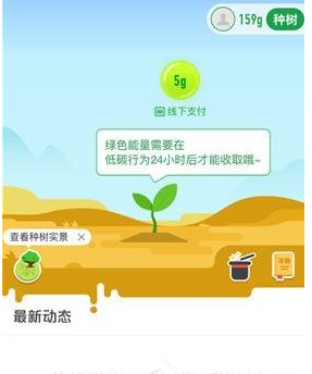 小编分享在支付宝中查看自己所种的树的图文教程。