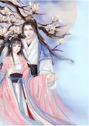 我来教你使用美图秀秀制作小说封面的具体方法。