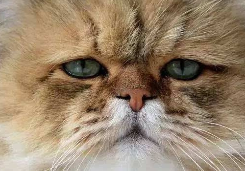 教你在抖音中拍摄塑料袋照片的方法介绍。