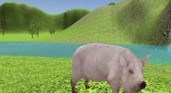 我来分享在抖音里模拟猪进不去的解决方法。