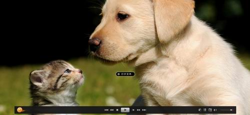 分享在射手播放器中修改字幕的图文教程。