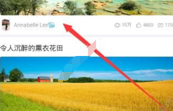 教你美篇APP中关注别人的具体步骤。