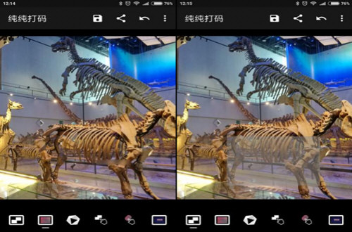 我来教你纯纯打码使用的方法介绍。