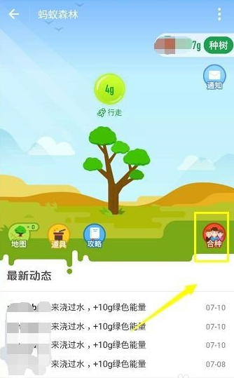 分享在支付宝蚂蚁森林合种踢人的方法分享。