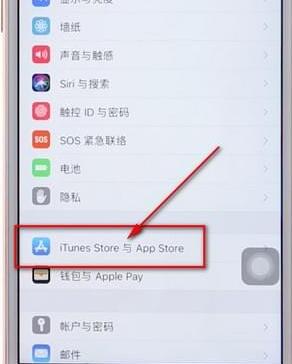 我来教你在苹果手机里将app评论取消的操作流程。