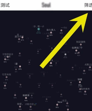 在soul中进行语音匹配的方法介绍截图