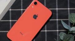 分享iPhone xr设置铃声的详细操作。