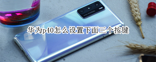 我来教你华为p40导航键怎么设置。
