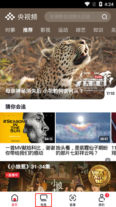 教你央视频错过了节目如何处理。