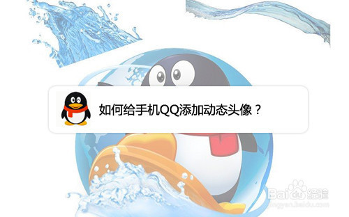 我来分享手机QQ动态头像如何设置。