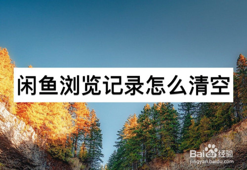 分享闲鱼浏览记录如何删除。