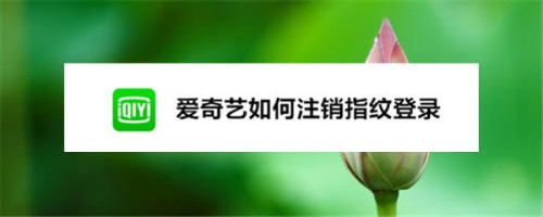 小编教你爱奇艺如何关掉指纹登录。