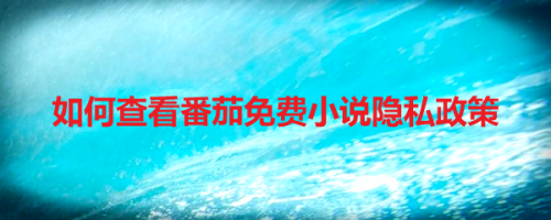 小编教你番茄免费小说隐私政策在哪里查看。