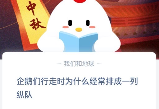 我来教你企鹅们行走时为什么经常排成一列纵队。