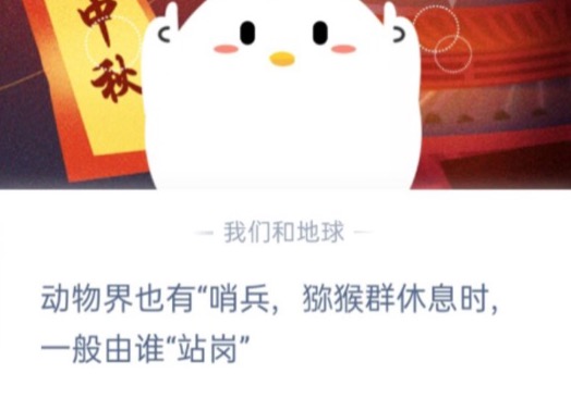 我来教你动物界也有哨兵，猕猴群休息时，一般由谁站岗。
