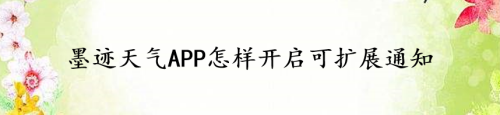 我来教你墨迹天气如何开启可扩展通知。