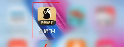 小编分享企鹅FM的QPlay如何启用。