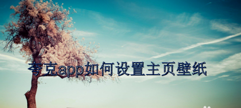 小编教你夸克在什么地方设置主页壁纸。