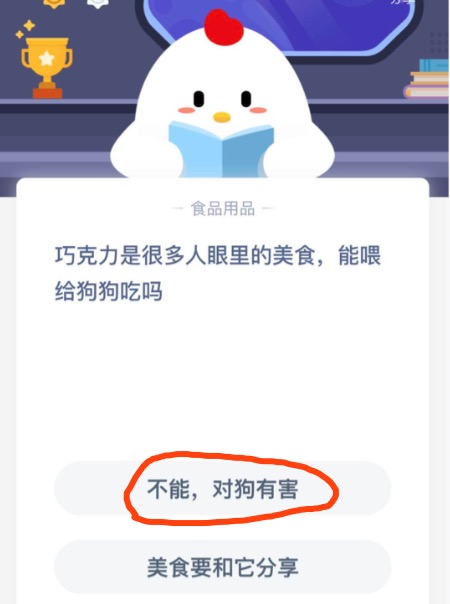 小编教你巧克力是很多人眼里的美食能喂给狗狗吃吗。