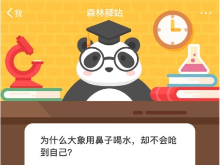 我来分享为什么大象用鼻子喝水，却不会呛到自己。