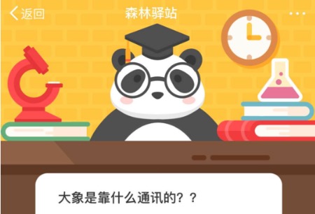 分享大象是靠什么通讯的。