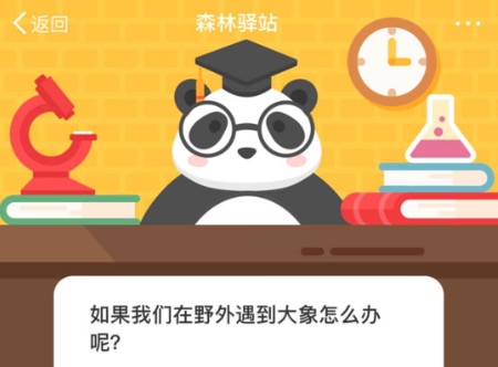 小编教你如果我们在野外遇到大象怎么办呢。