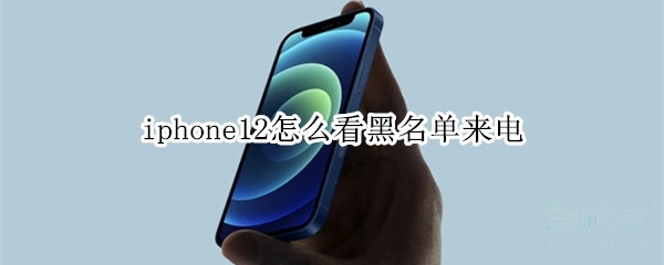 分享iphone12如何查看来电黑名单。