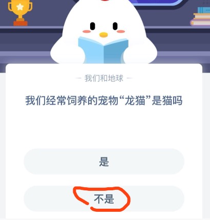 教你我们经常饲养的宠物龙猫是猫吗。