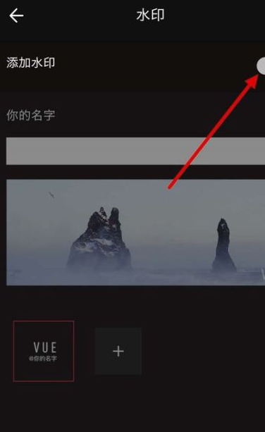 关闭VUE视频水印的操作步骤截图