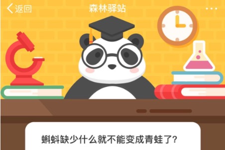 小编教你蝌蚪缺少什么就不能变成青蛙了。