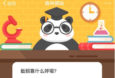 我来教你蚯蚓靠什么呼吸。