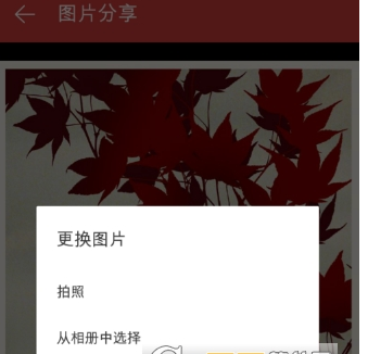 在网易云音乐中保存海报的具体步骤截图